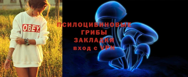 соль ск Новокубанск