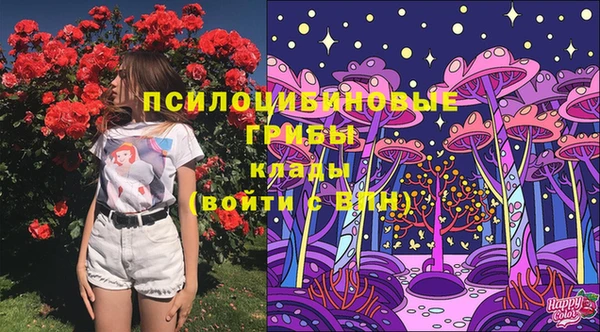 соль курить ск Новозыбков