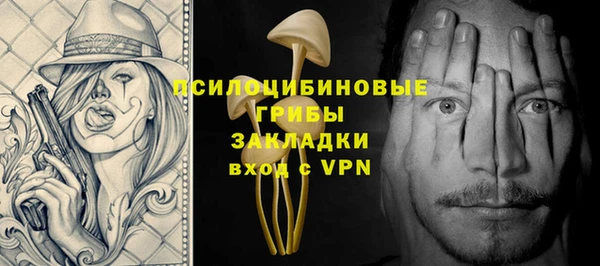 соль курить ск Новозыбков