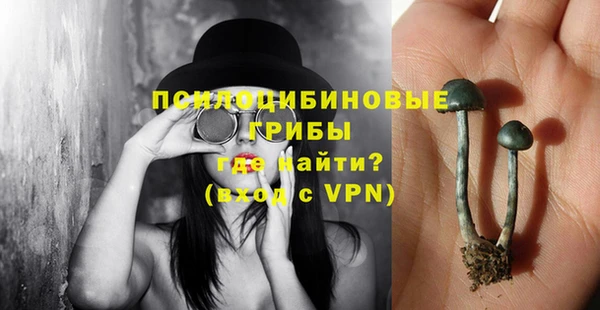 соль курить ск Новозыбков