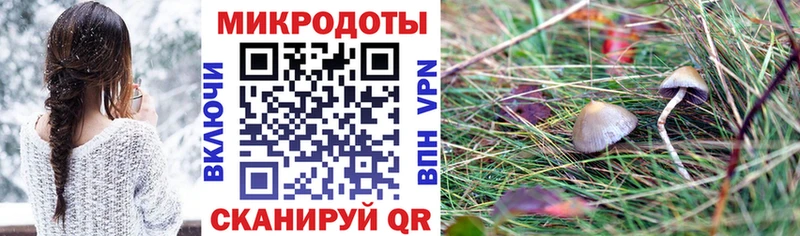 Псилоцибиновые грибы Psilocybine cubensis  omg маркетплейс  Камызяк  купить  сайты 